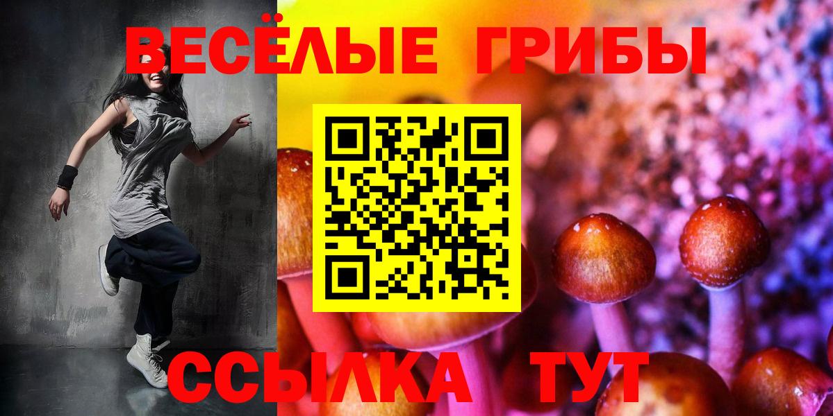 Галлюциногенные грибы Psilocybine cubensis Сергиев Посад